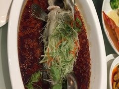 -上海衡山路十二号华邑酒店