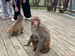 -重庆云阳龙缸景区