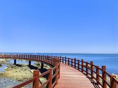 -养马岛旅游度假区