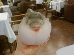 -肆月河豚·新淮扬(金融街店)