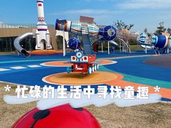 -九龙湖公园