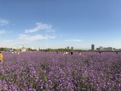 -赛汗塔拉风情园