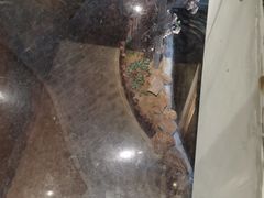 -缘福乡村铁锅炖民宿(八达岭店)