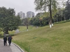 -龙头寺公园