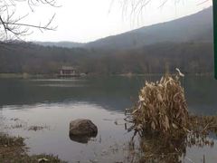 -紫霞湖公园