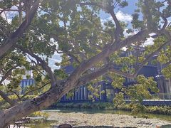 -星巴克(深圳前海企业公馆店)