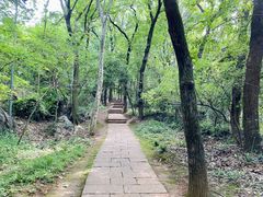 -九曜山