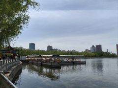 -莲花池公园