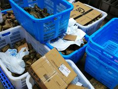 -金太粽(上海弄堂第一粽店)