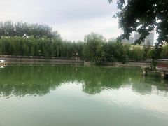 -黄村公园