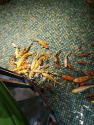 -酷嗒动物文化乐园(cutezoo西溪乐天城店)