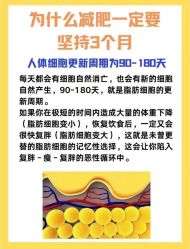 -Fundi张玉珊修身堂·indiba·BTL科技瘦身
