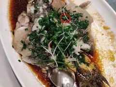 清蒸笋壳鱼-博多新记·粤菜(复兴店)