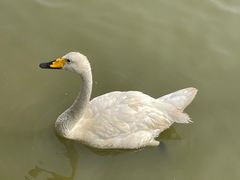 -南大港湿地风景区