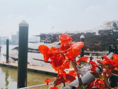-太古仓码头