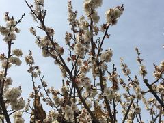 -普陀山风景名胜区-法雨禅寺