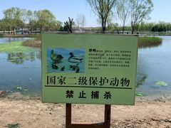 -大兴滨河森林公园