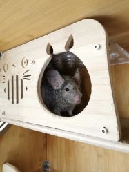-飞梵造型