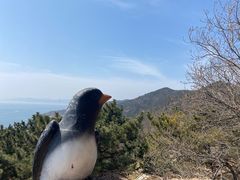 -燕窝岭