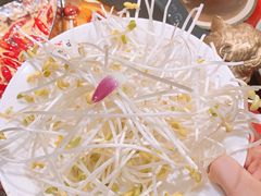 -袁老四重庆老火锅(桐梓坡店)
