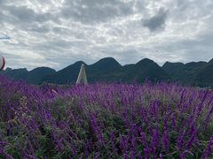 -云漫湖生态度假公园