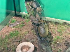 -昆山招商花园城