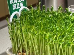 -海底捞火锅(泉城路店)