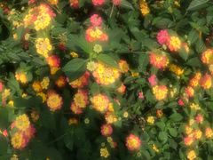 -箱美术馆私房菜(水晶郦城店)
