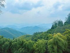 -莫干山风景区