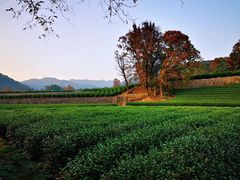 -自在弥林花园餐厅(云栖店)