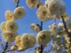 -天鹅湖体育公园