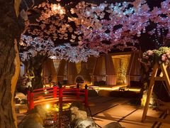 -蓝鲸湾汤泉(包河店)