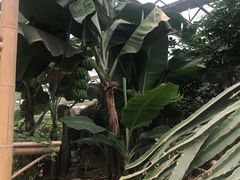 -兰陵国家农业公园