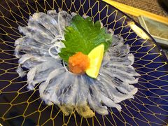 -桥岚·巷子鲜河豚鱼(专门店)