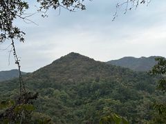 -素山寺森林公园