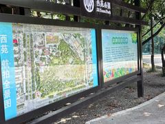-西苑公园