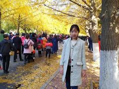 -辽宁大学(崇山校区)