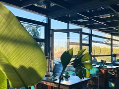 -野菌皇海景野生菌火锅(滨海大道店)