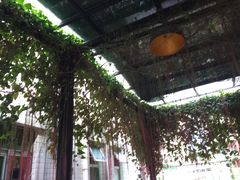 -大自然素食(望桐路店)