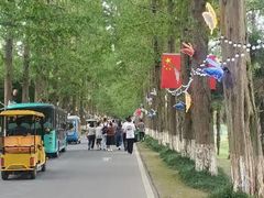 -黄海国家森林公园