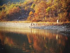 -大连天门山国家森林公园