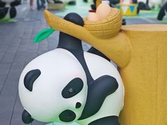 -东莞松山湖万象汇