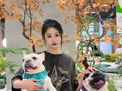 -帕帕拉兹宠物(亚洲旗舰店)