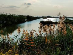 -芒洲湿地公园