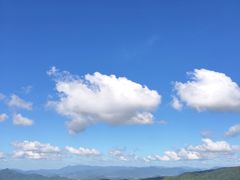 -亚龙湾热带天堂森林公园