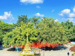 -西双版纳勐泐文化旅游区