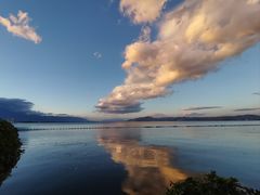 -洱海月湿地公园