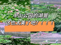 -中山公园