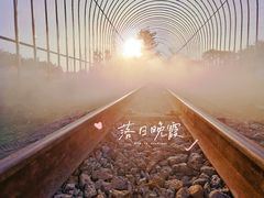 -长洲岛都市农业公园