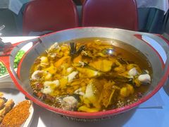 -雲蜀龙阁·金牌水煮鱼(方庄店)